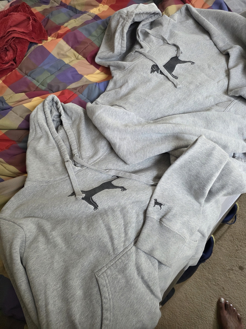 2 - The Black Dog Kids' Gray Hoodies– Comfortable Everyday Wear - Picture 3 of 6
